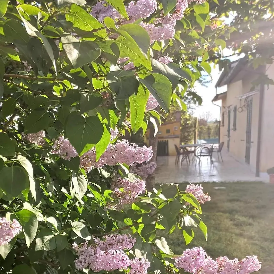 La Casa Di Tommy Villa Cortona