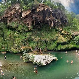 https://ferula.in-sardinia.net